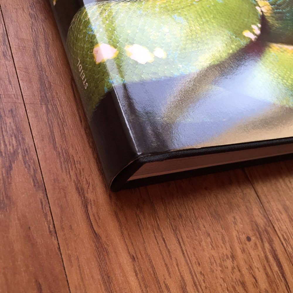 Guido Mocafico: Serpens: Goy, Jacqueline, Remy, Patrick, Mocafico